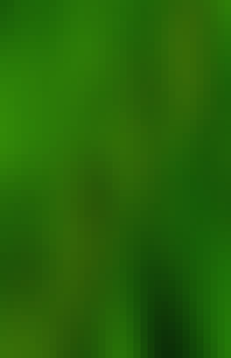 Mosaic Gradient Background 202