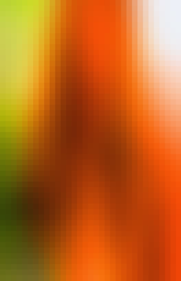 Mosaic Gradient Background 301