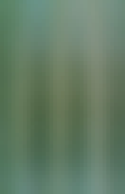 Mosaic Gradient Background 363