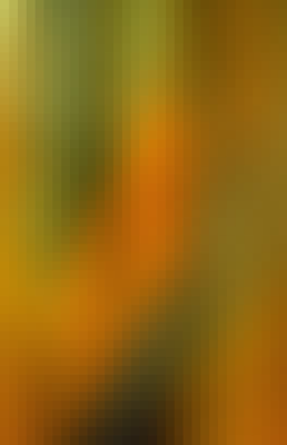 Mosaic Gradient Background 418