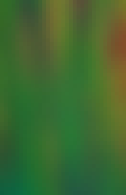 Mosaic Gradient Background 431