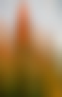 Mosaic Gradient Background 441