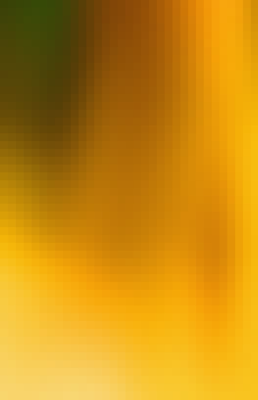 Mosaic Gradient Background 457