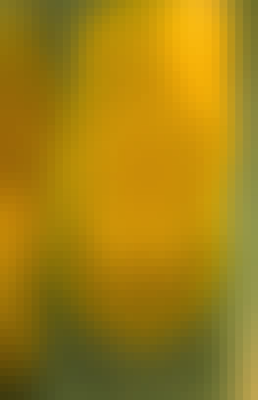 Mosaic Gradient Background 459