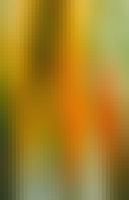 Mosaic Gradient Background 503