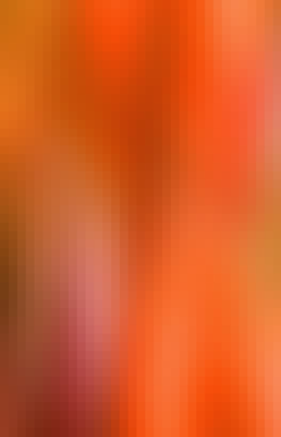 Mosaic Gradient Background 534