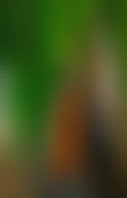 Mosaic Gradient Background 553