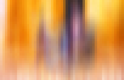 Mosaic Vertical Scrub 1