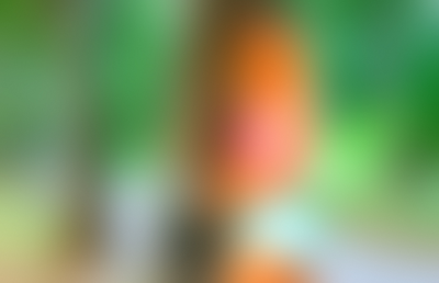 A moody abstract blurred background 190