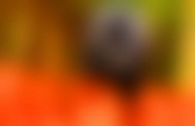 A moody abstract blurred background 287