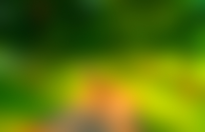 A moody abstract blurred background 371