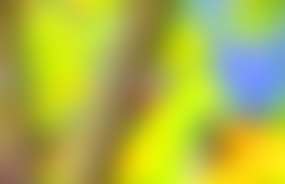 A moody abstract blurred background 42