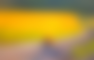 A moody abstract blurred background 453