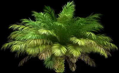 A 3D rendered and isolated date palm tree