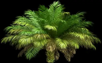 A 3D rendered and isolated date palm tree