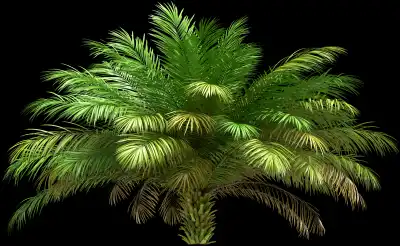 A 3D rendered and isolated date palm tree