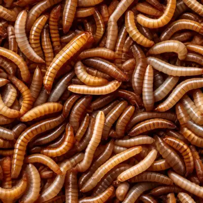 A layer of maggots as a seamless tile