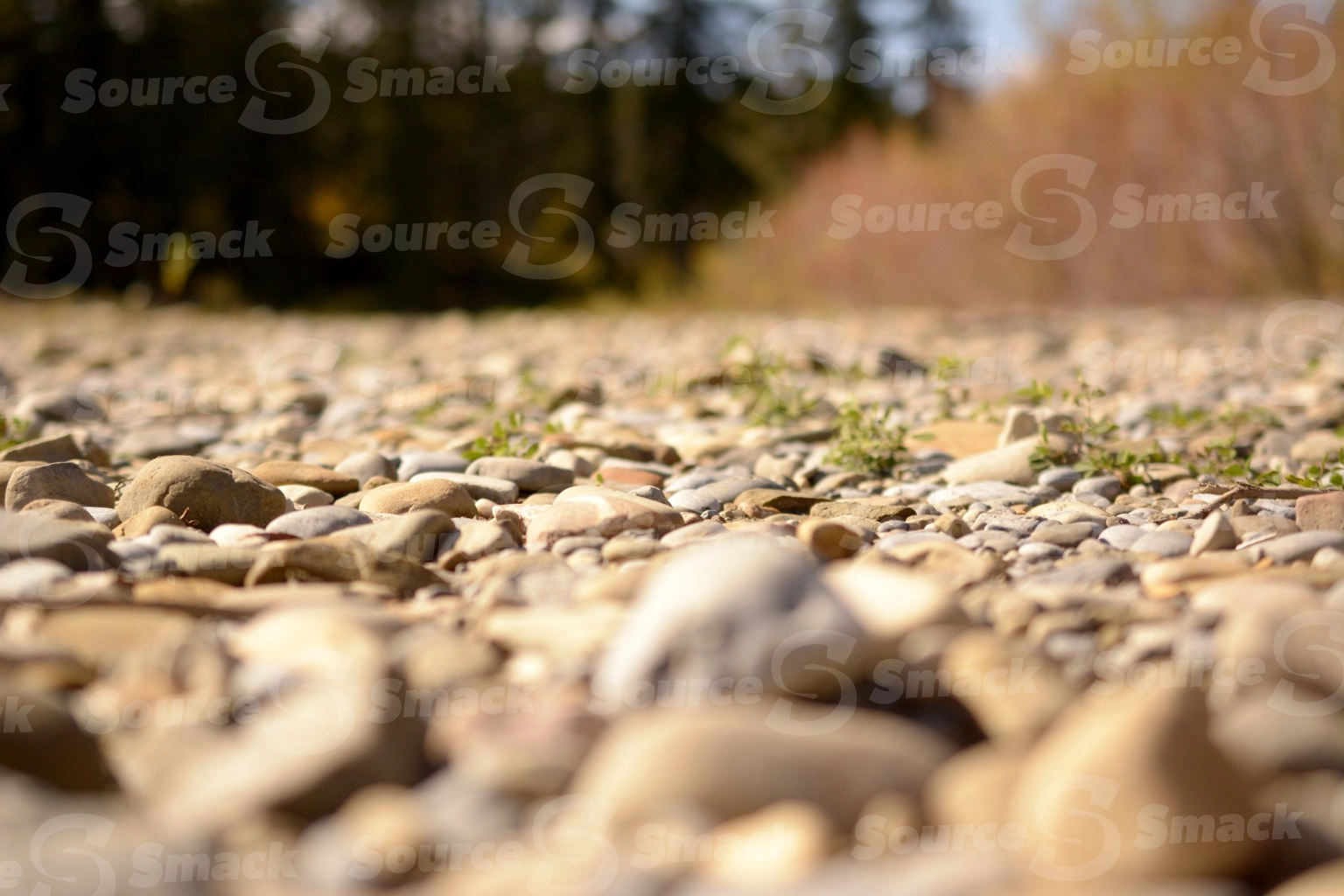 Closeup of a dry river bed