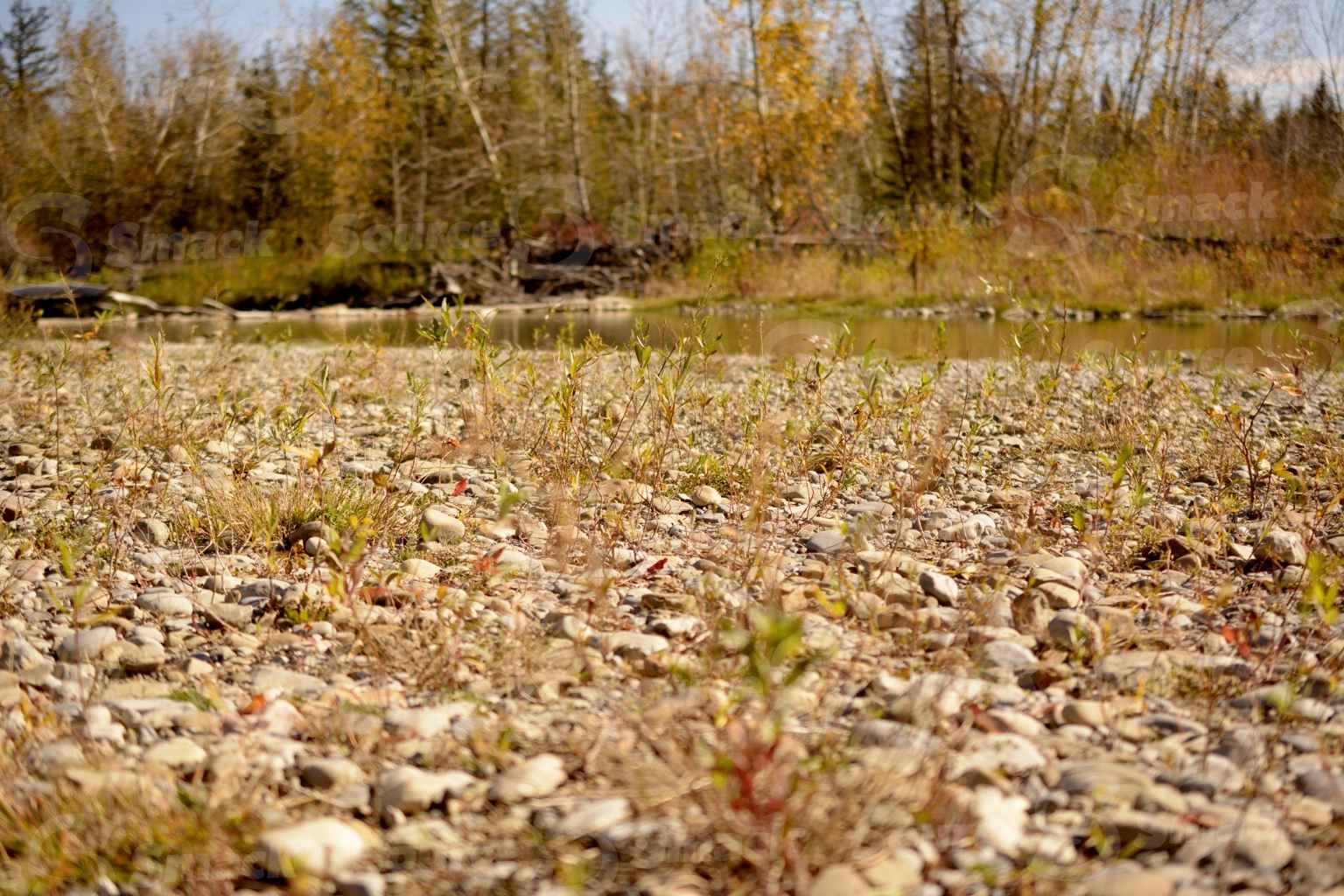 Closeup of a dry river bed