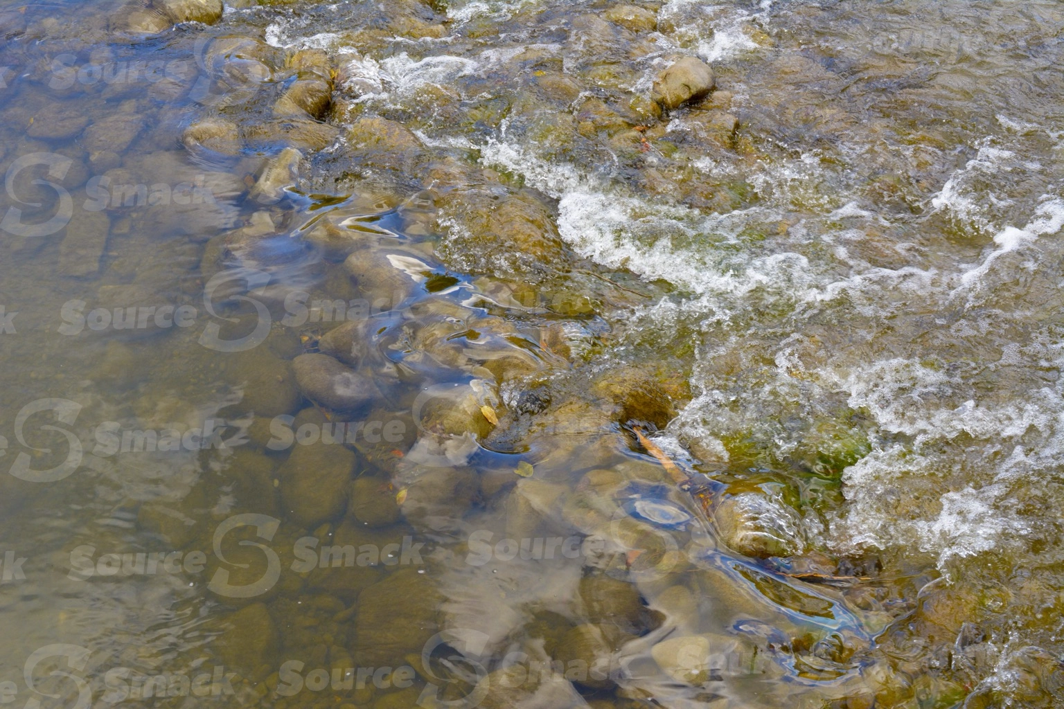 Rippling brook