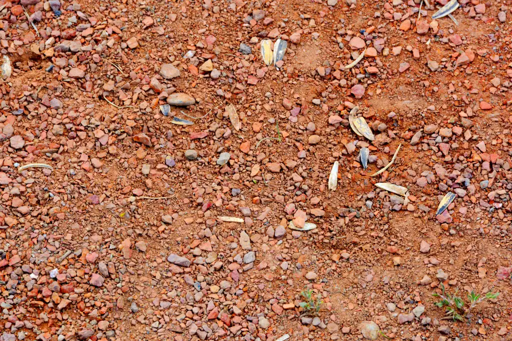 Shale on a baseball diamond