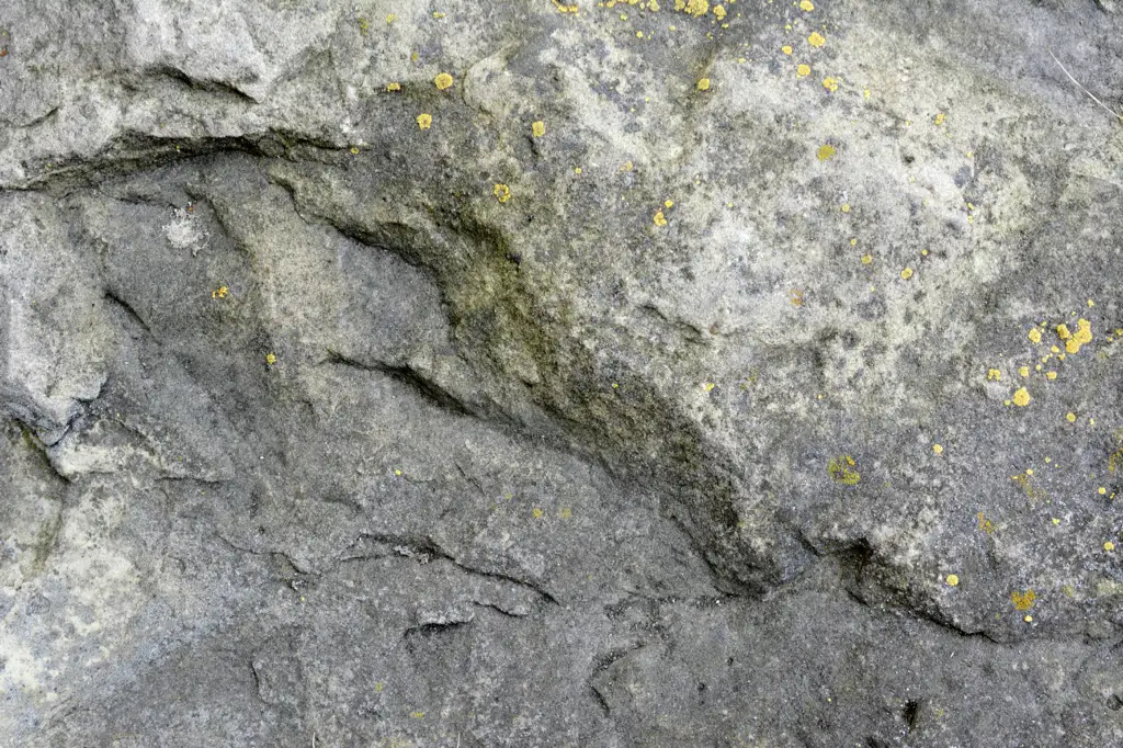 Rough stone surface