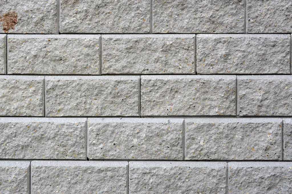 Cement brick wall