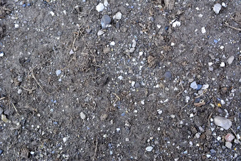 Dirt ground with debris of sticks and stones