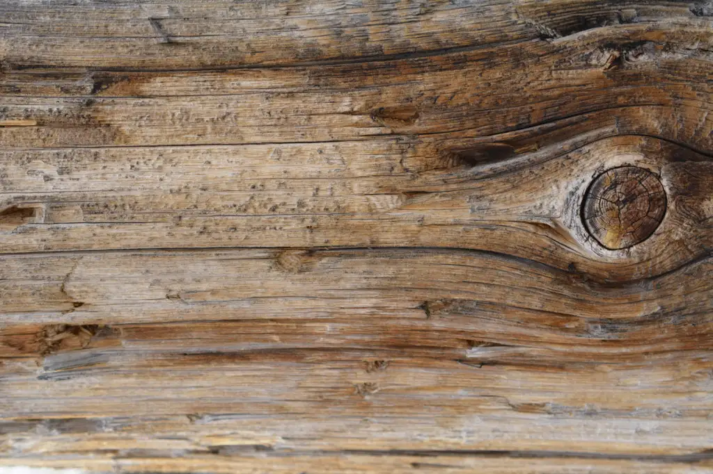 Closeup of wood surface