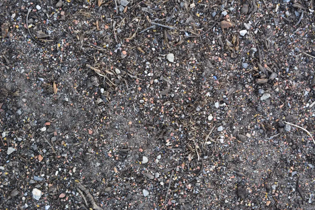 Dirt ground with debris of sticks and stones
