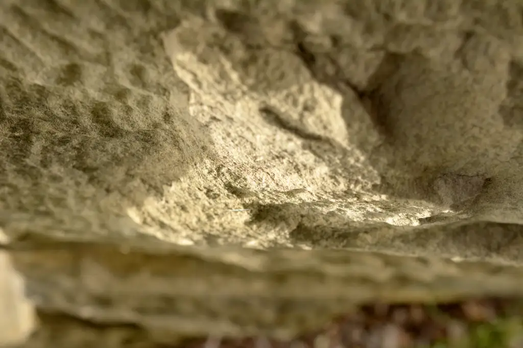 Closeup of surface of rockface