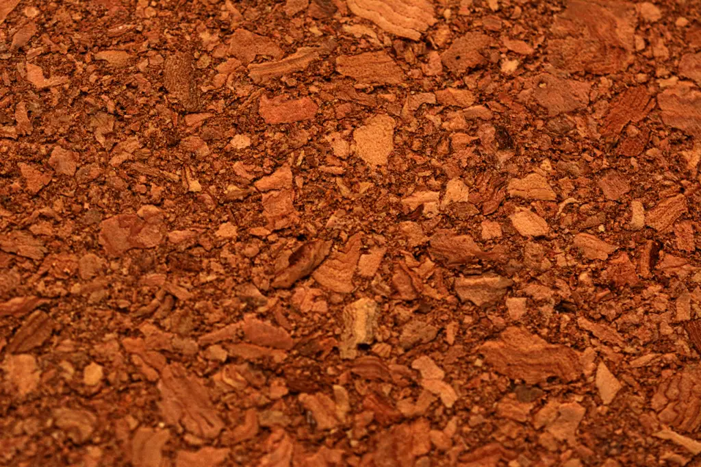 Closeup view of cork board surface