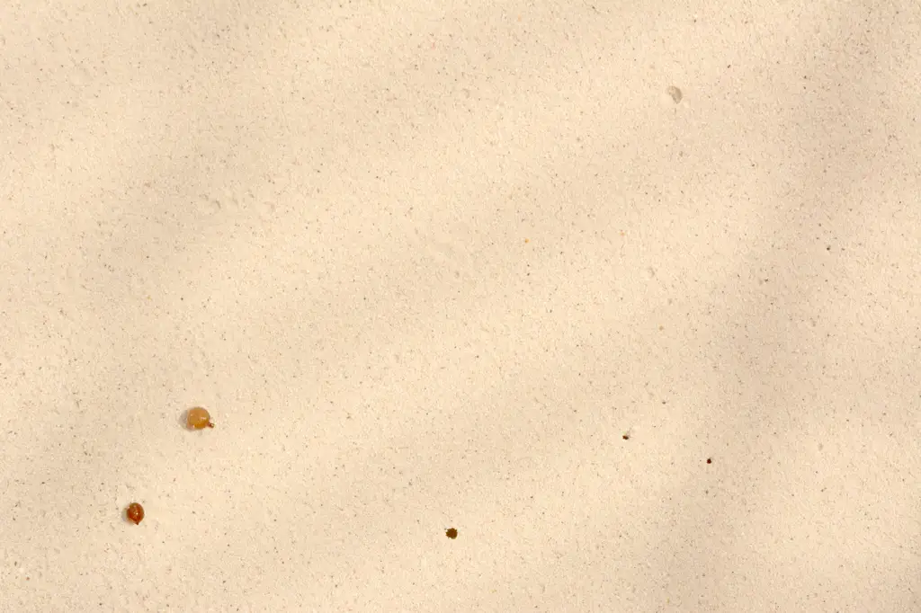 Closeup of sand on a beach in Mexico