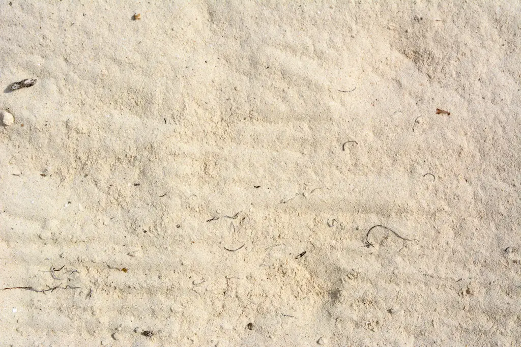 Closeup of beach sand in Mexico