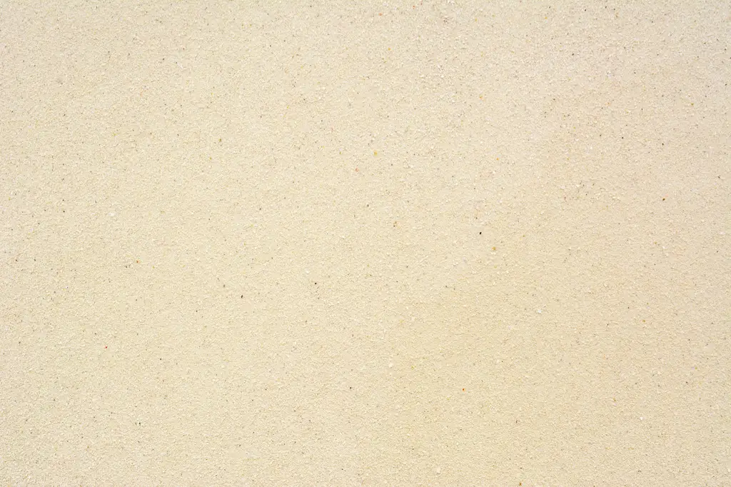 Closeup of beach sand in Mexico