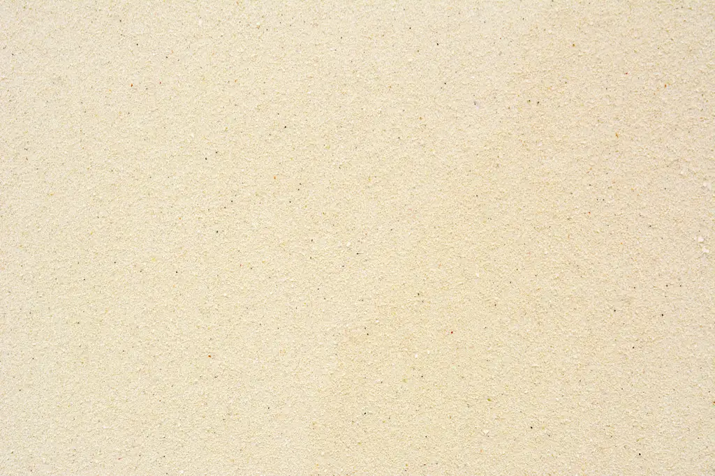 Closeup of beach sand in Mexico