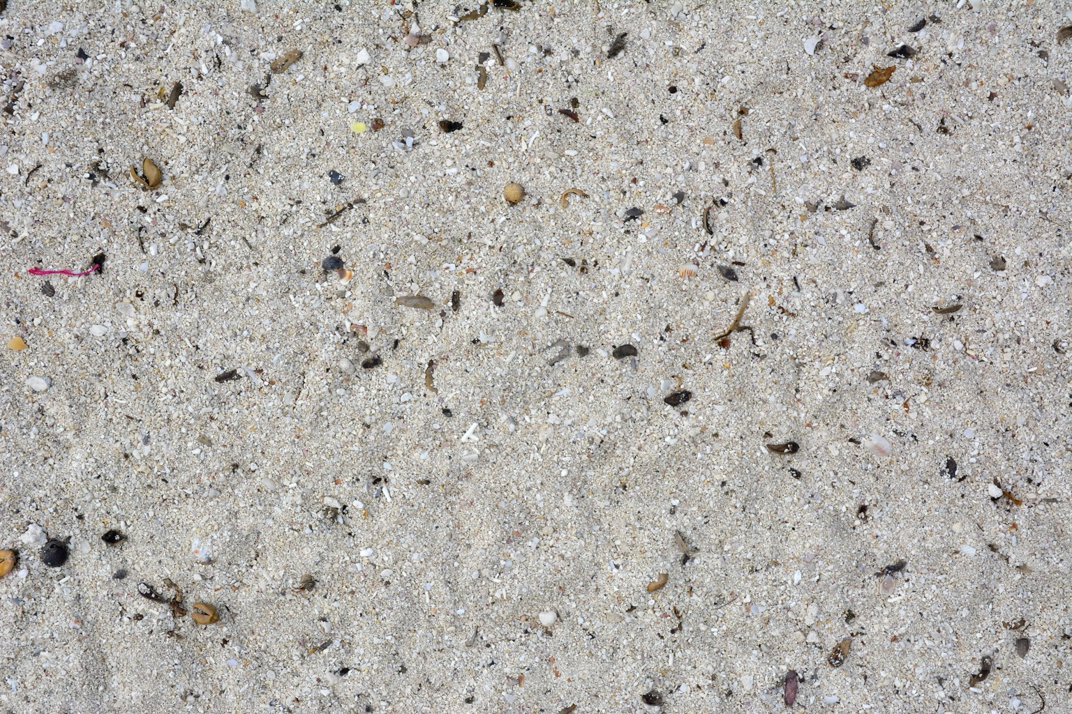 Beach sand unkept in Mexico