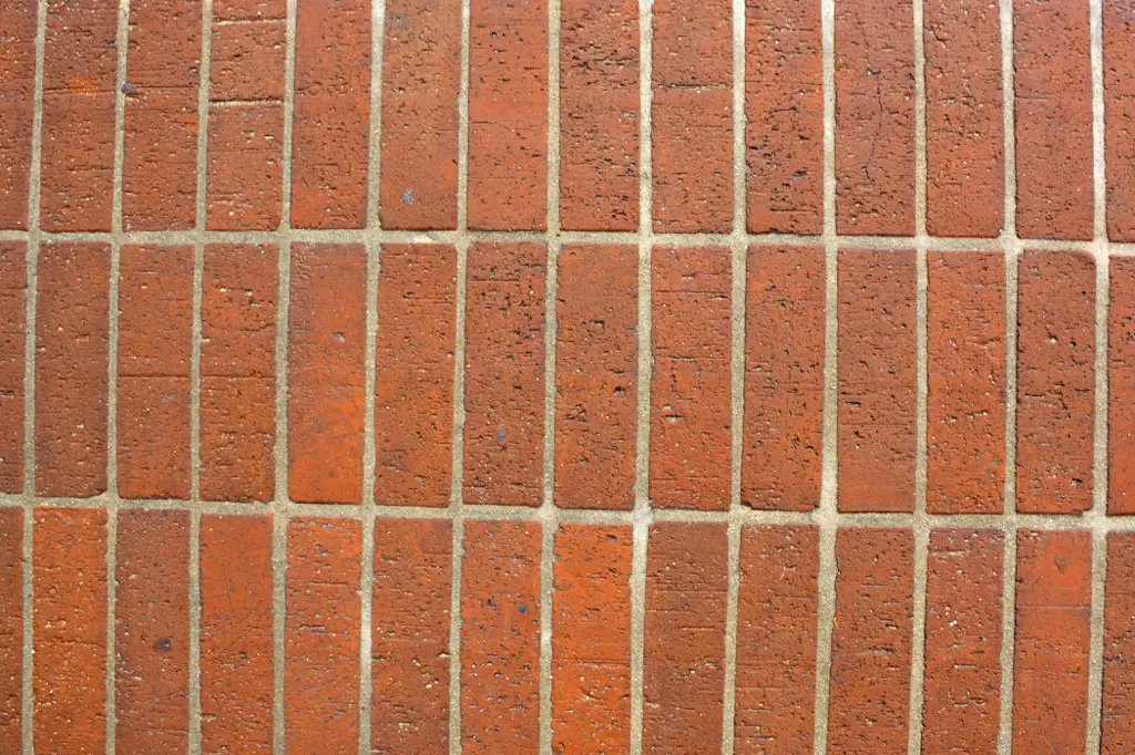 Brick tiled walkway in Cabo San Lucas