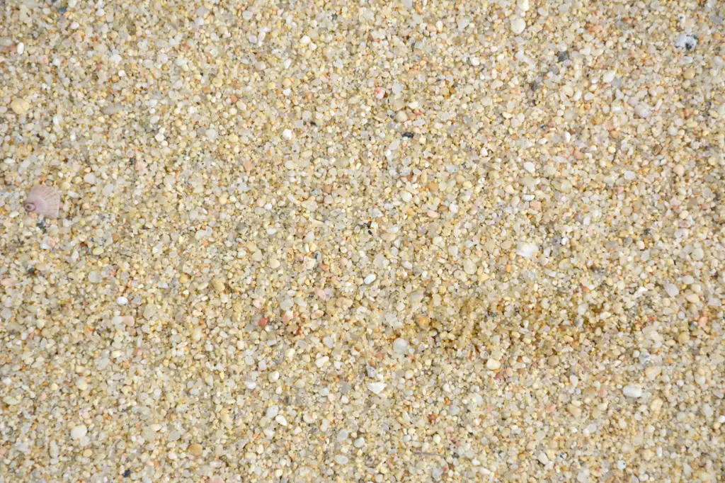 Closeup of grains of sand on a beach in Cabo San Lucas