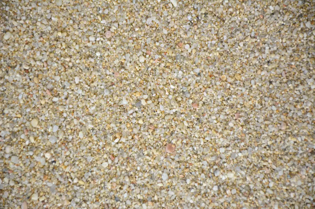 Closeup of grains of sand on a beach in Cabo San Lucas