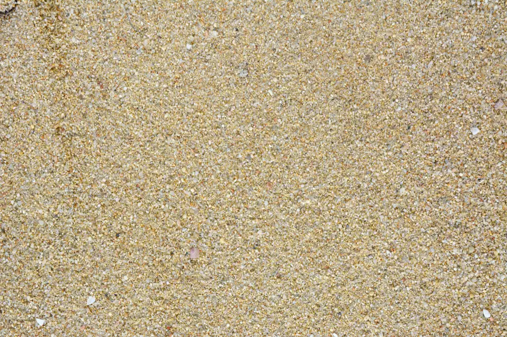 Closeup of grains of sand on a beach in Cabo San Lucas