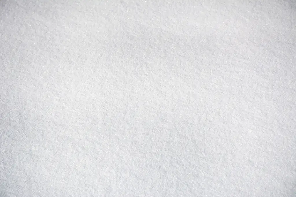 Closeup of snow in winter