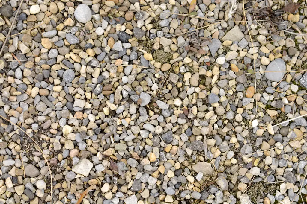 Riverbed stones