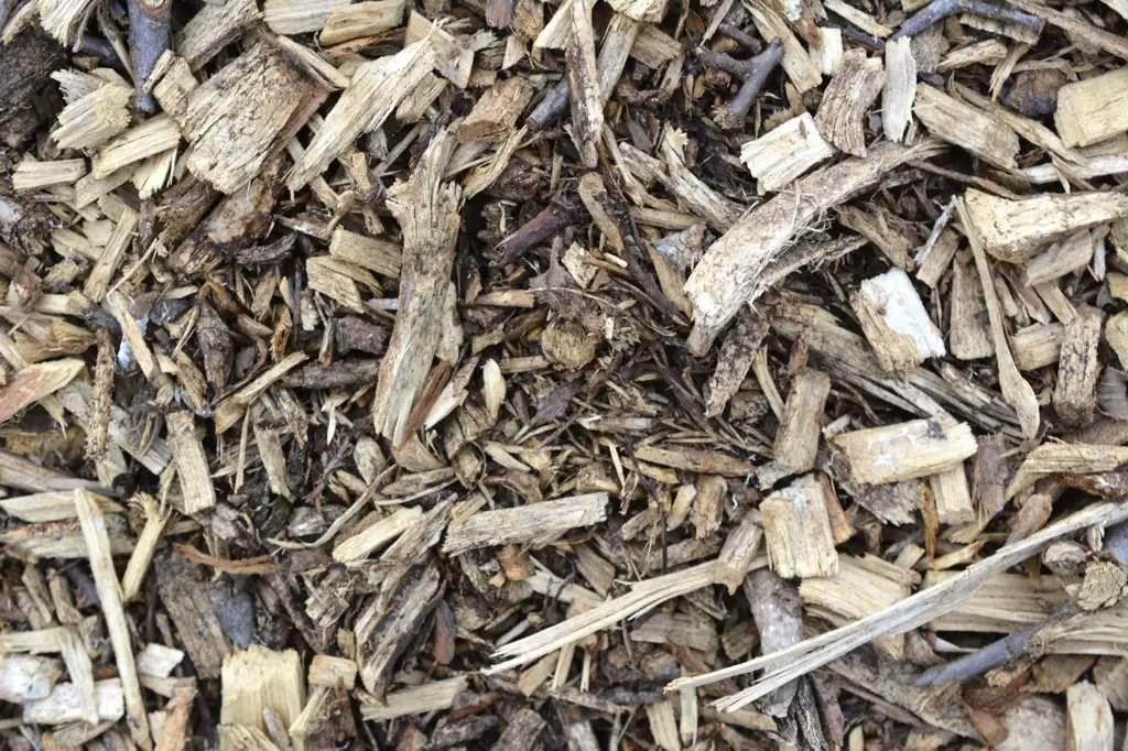 Collection of wood chips