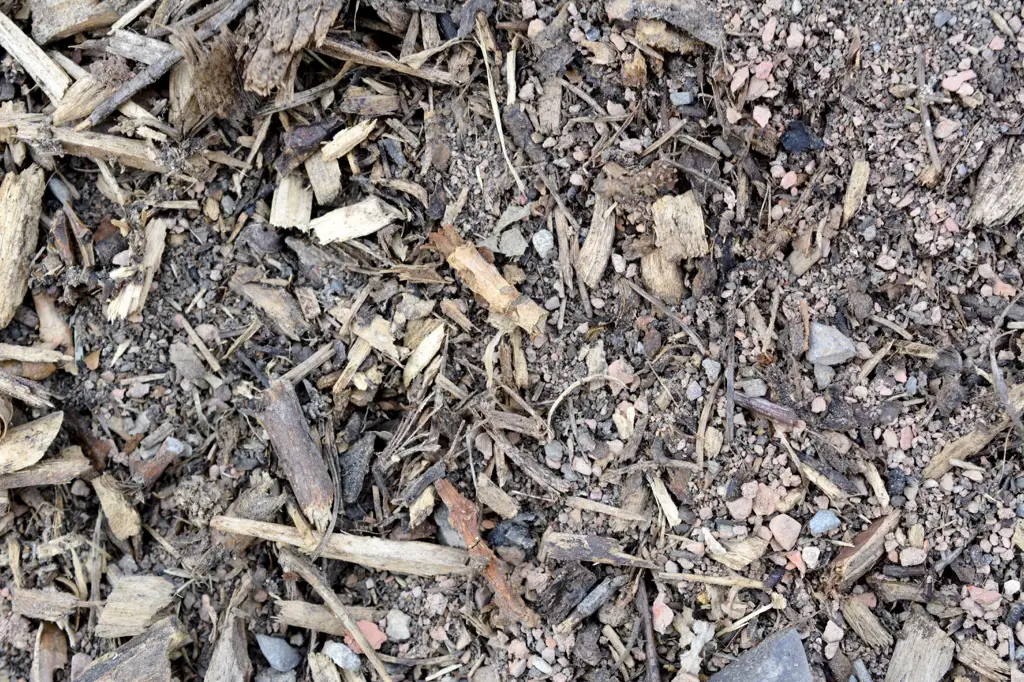 Wood chips and rocks