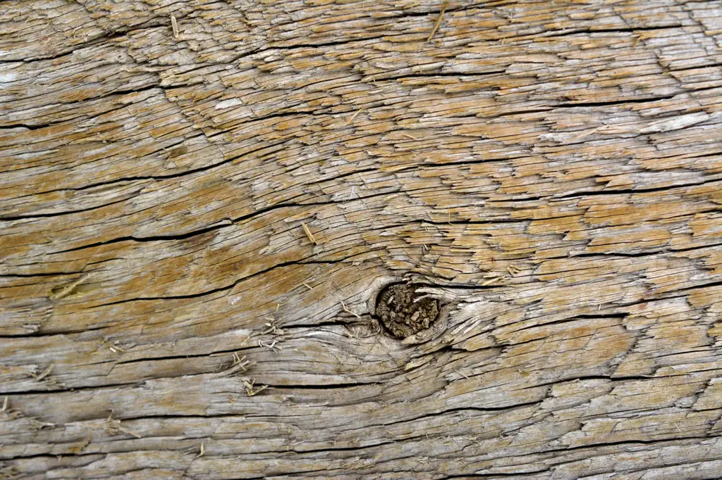 Closeup of wood surface