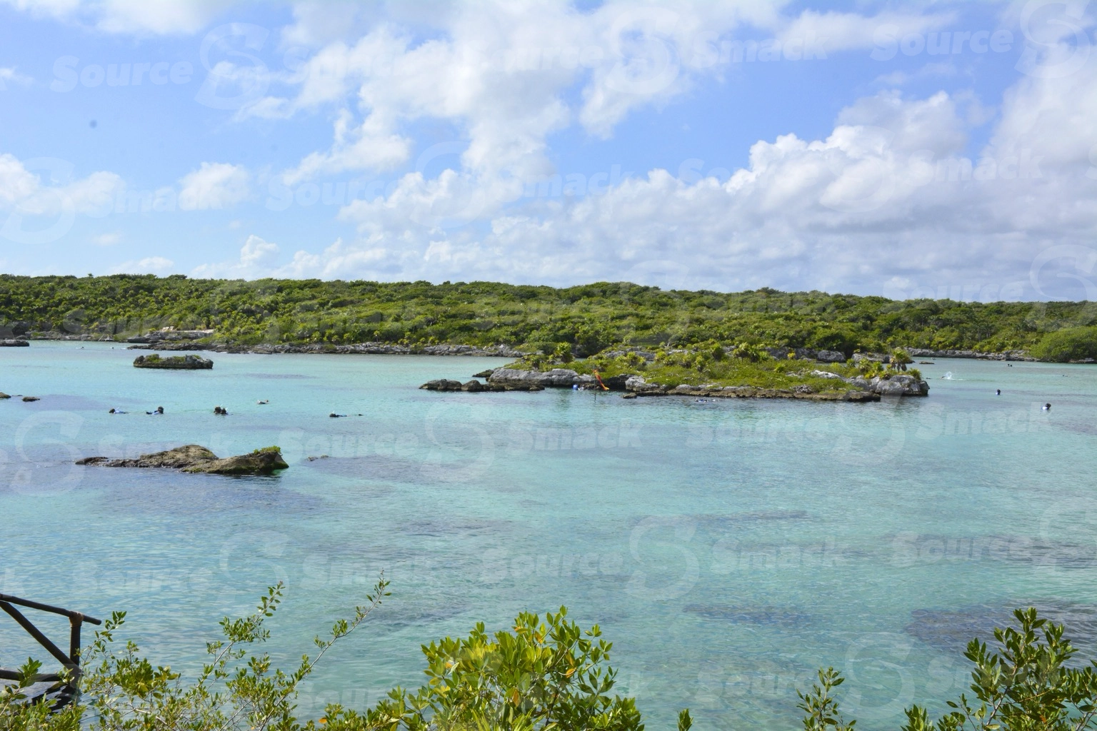 Xel-Ha Park ocean cove with vegetation in Mexico