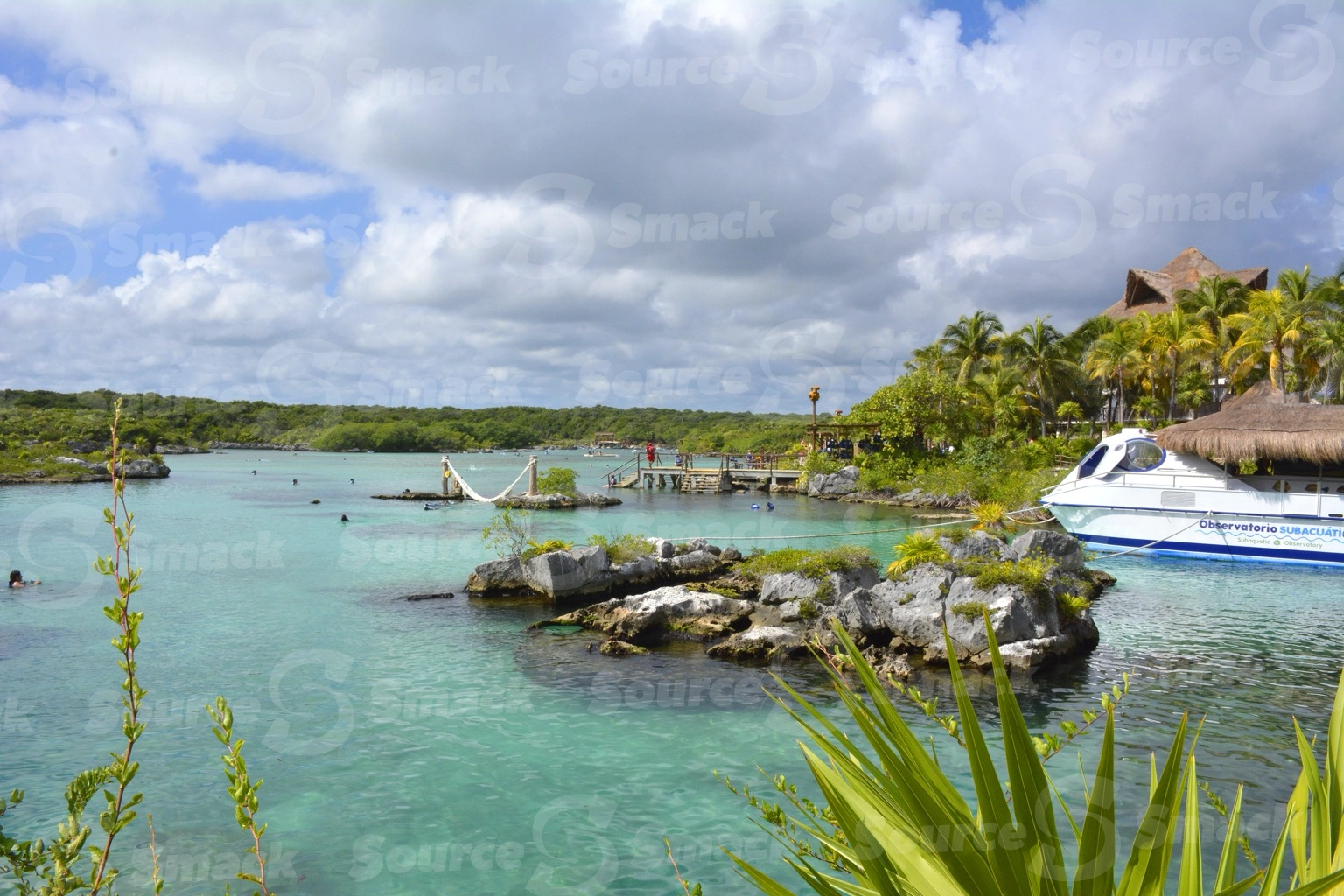 Xel-Ha Park ocean cove with vegetation in Mexico