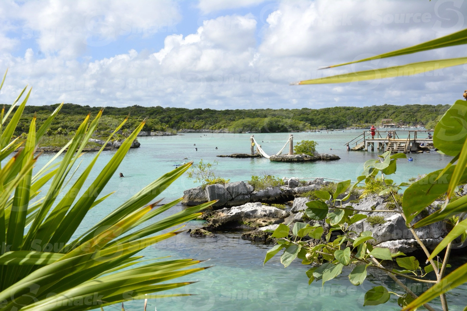 Xel-Ha Park ocean cove with vegetation in Mexico
