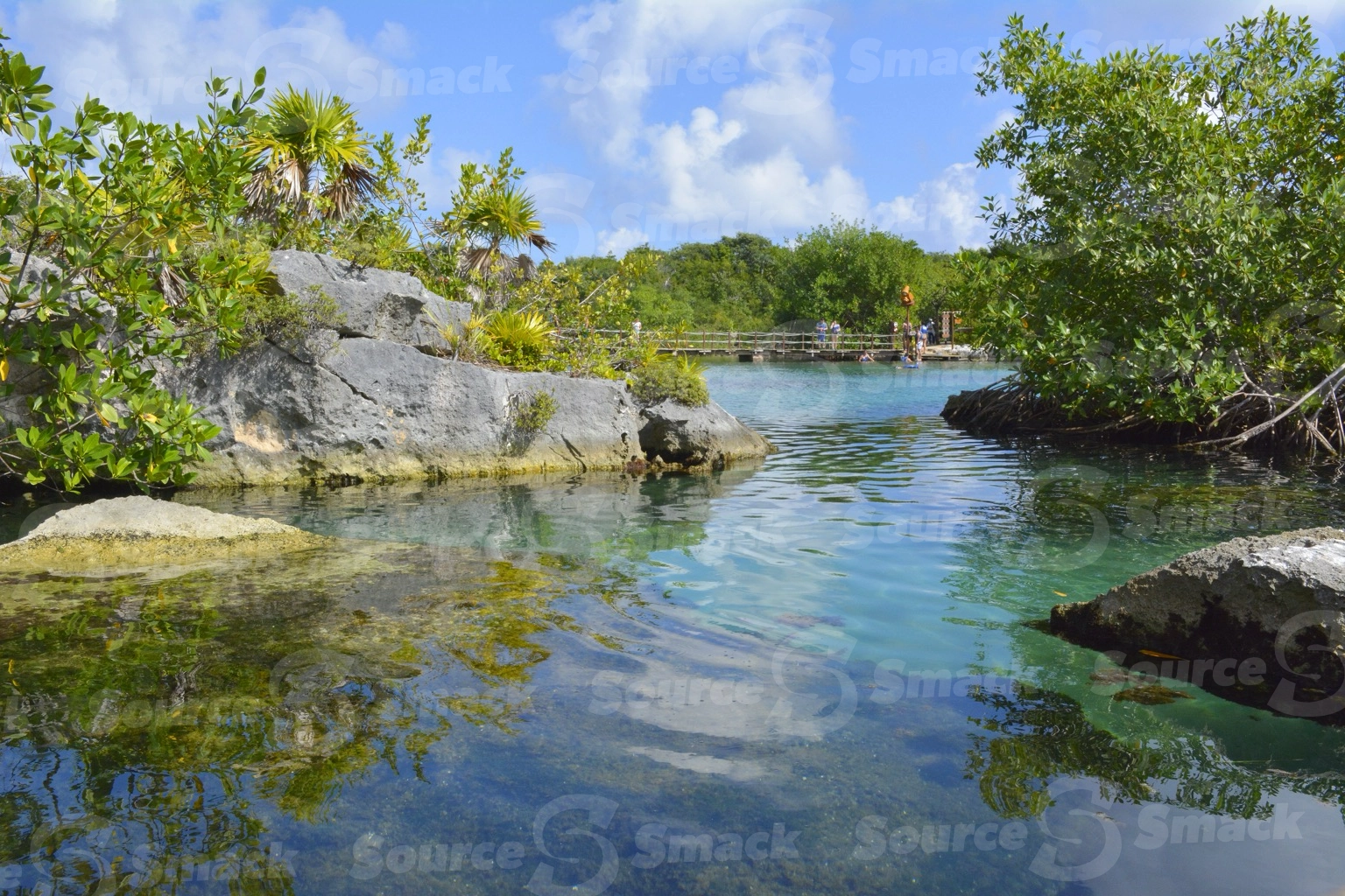 Xel-Ha Park ocean cove with vegetation in Mexico